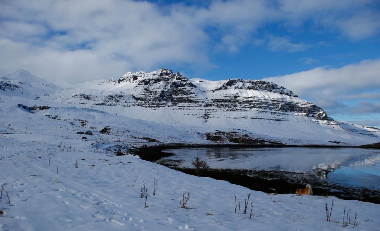 Hellnafell Daire Grundarfjordur Dış mekan fotoğraf
